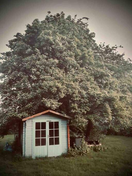 Nature Charm & Fruit Delights, Multi-Generation Celebratory Home -Try, Relax, Repeat - Sellindge آشفورد المظهر الخارجي الصورة
